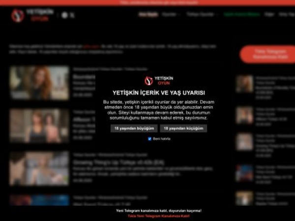 yetiskinoyun.com